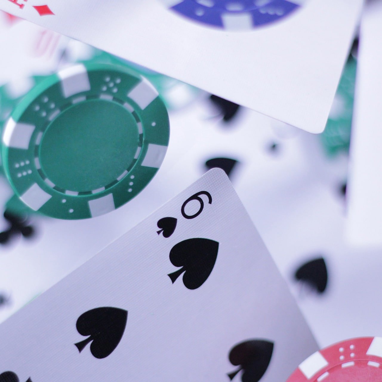 winwin bet