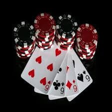 winwin bet